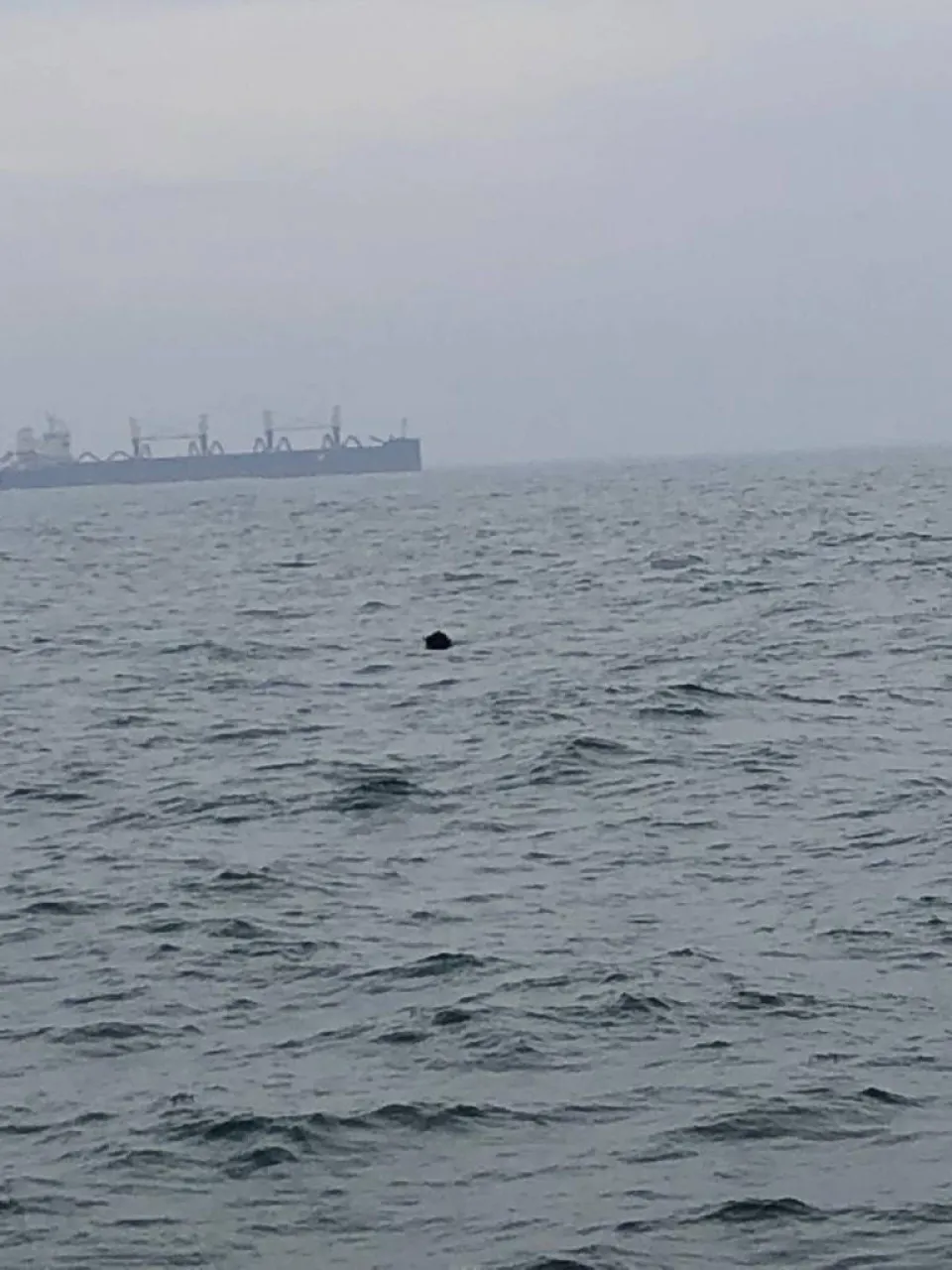 Морская мина обнаружена недалеко от порта Констанца