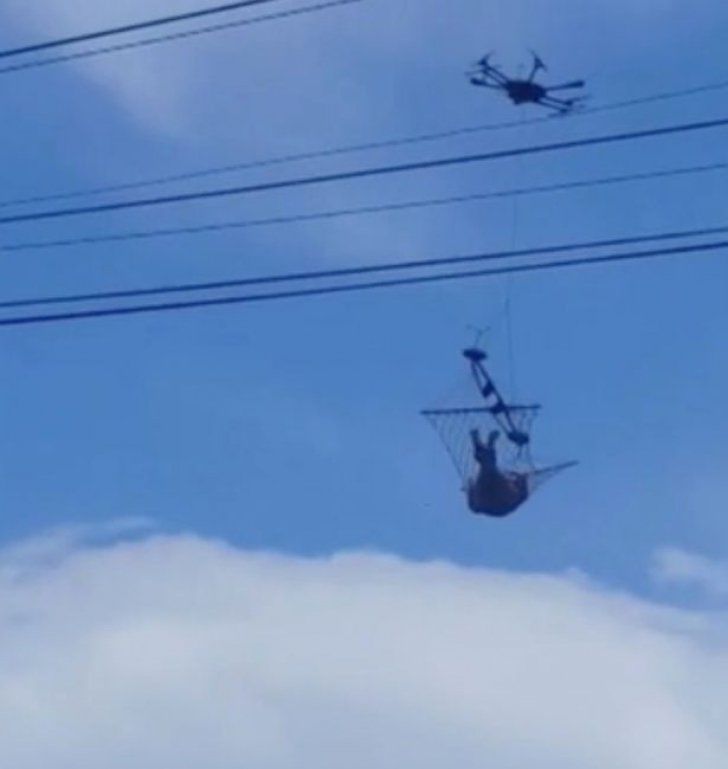 Și-a prins un hamac de dronă și s-a culcat în el. Imagini uluitoare