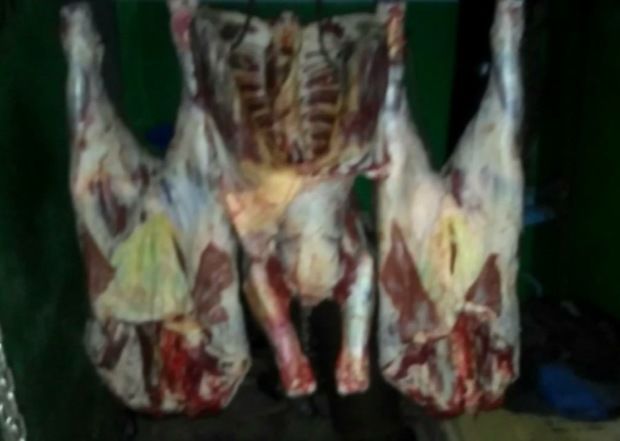 В Теленештах полицейские конфисковали у экономического агента 800 кг мяса