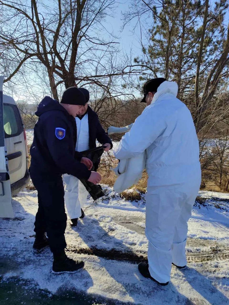 В Молдове экологи спасли замершего на озере лебедя