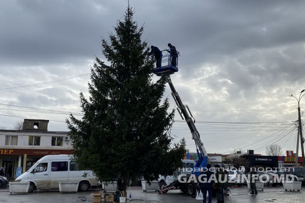 В Комрате нарядили новогоднюю елку