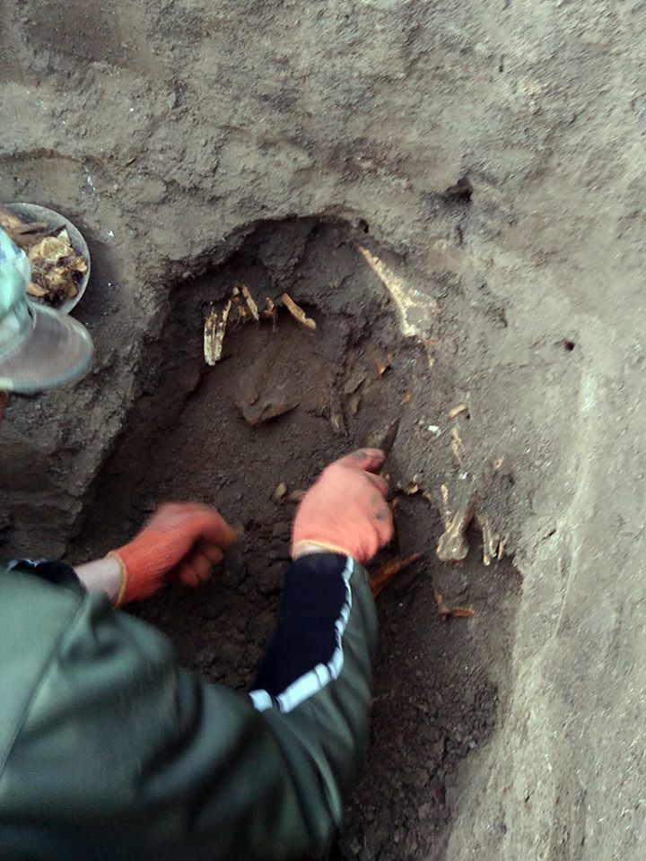 Поисковики нашли в Молдове останки солдат, погибших в боях ВОВ