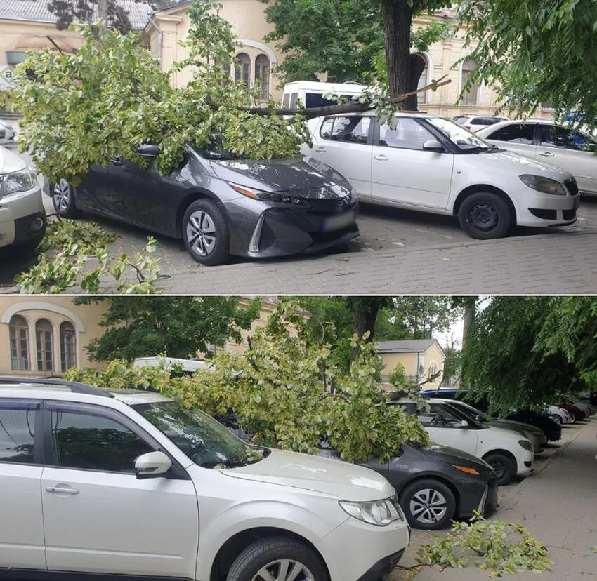 В столице сильный ветер повалил ветки и деревья на автомобили