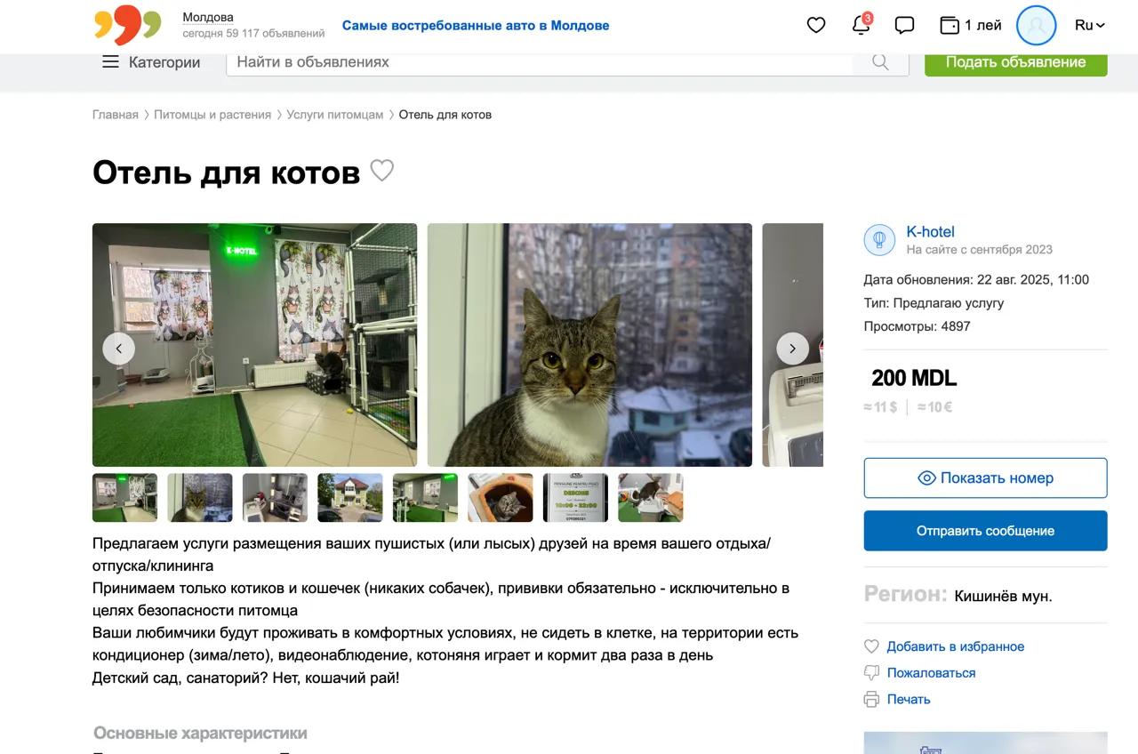 Tot mai mulți moldoveni aleg grooming și hoteluri pentru animale