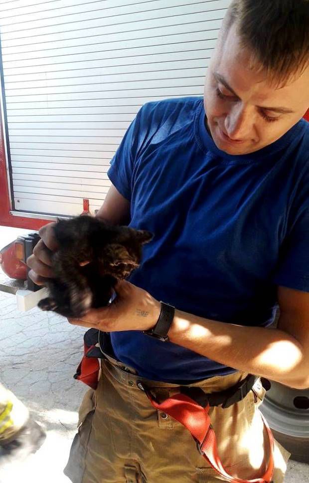 В Кишиневе пожарные спасли котенка, застрявшего 2 дня назад в трубе