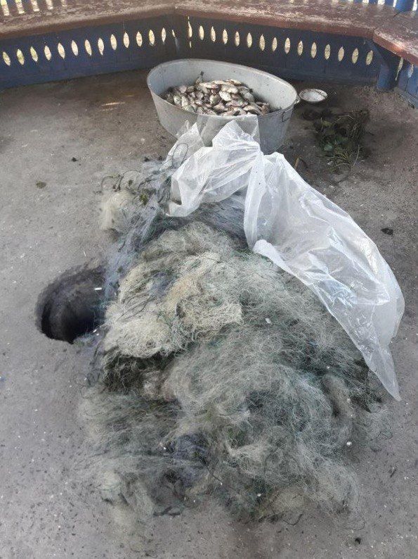 Пограничники выявили рыбаков, которые незаконно выловили 100 килограммов рыбы