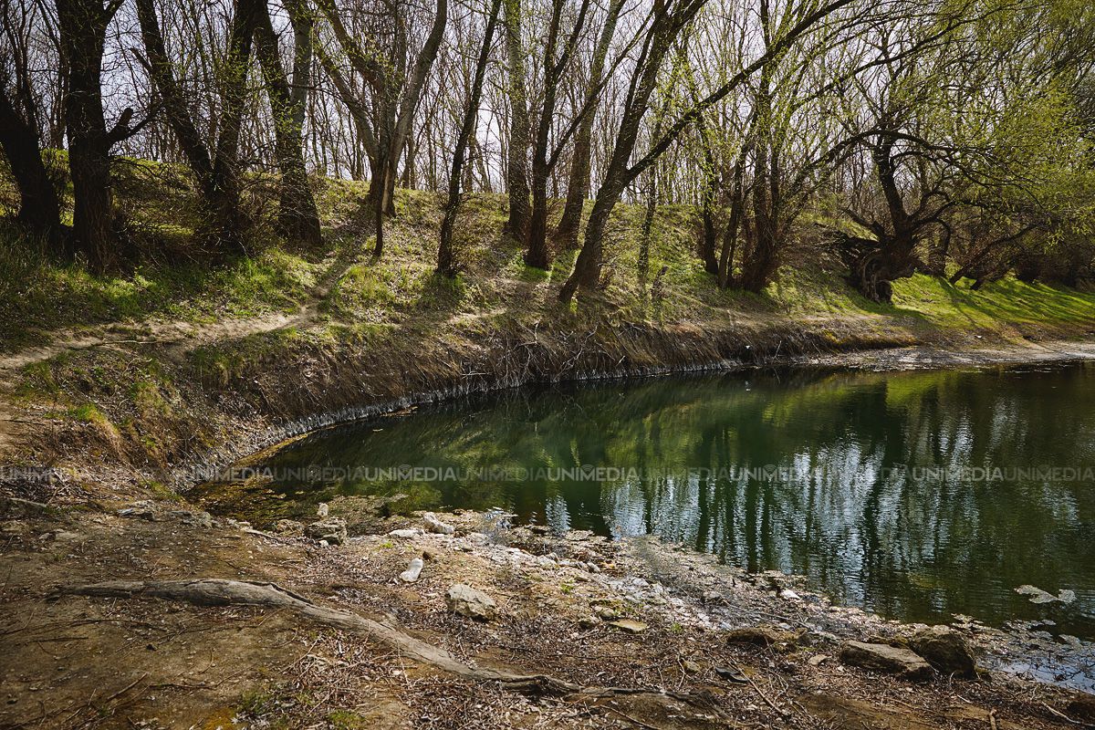 Из-за весенней засухи в Молдове мелеют реки