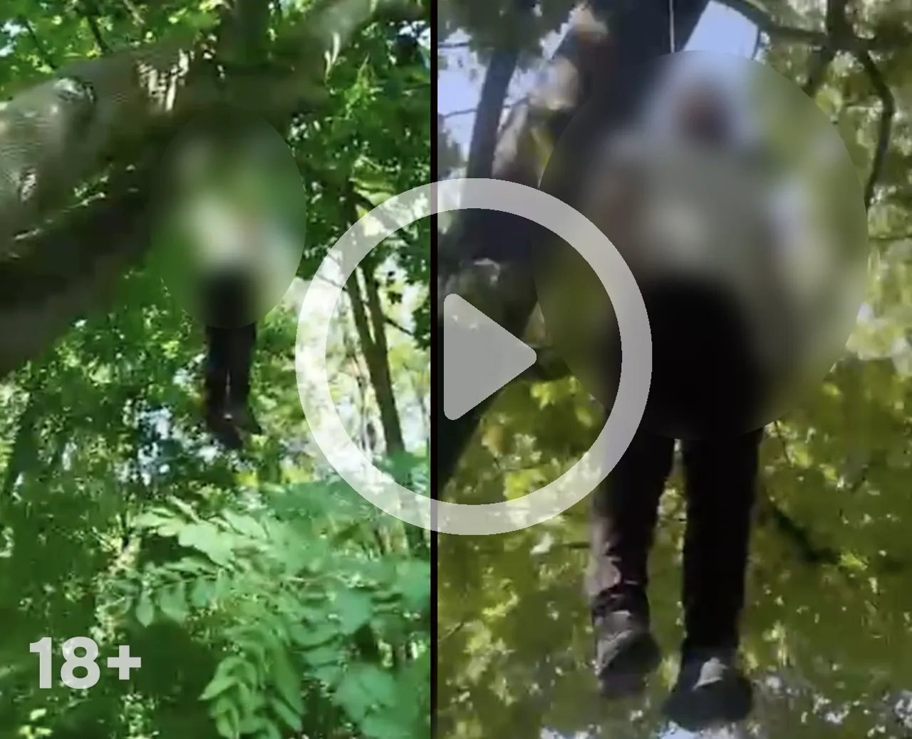 Un bărbat, găsit spânzurat de trecători în pădurea din Buiucani