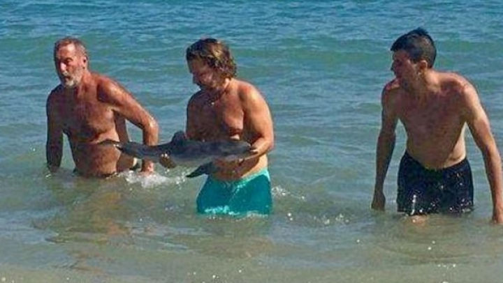 Un pui de delfin a murit pentru ca zeci de oameni să se pozeze cu el