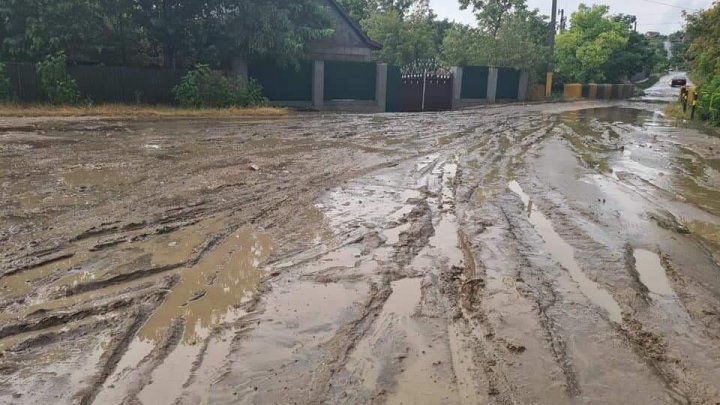 Ливень в Твардице размыл улицы, затопил дворы и убил десятки домашних птиц