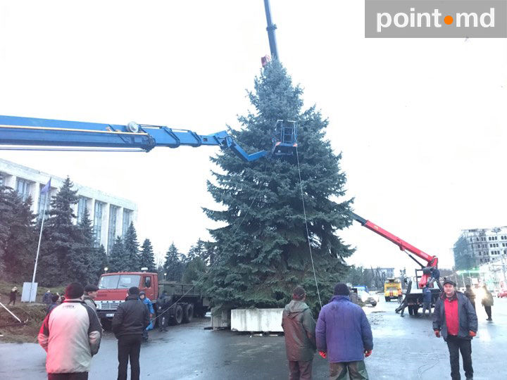На центральной площади Кишинева установили новую елку