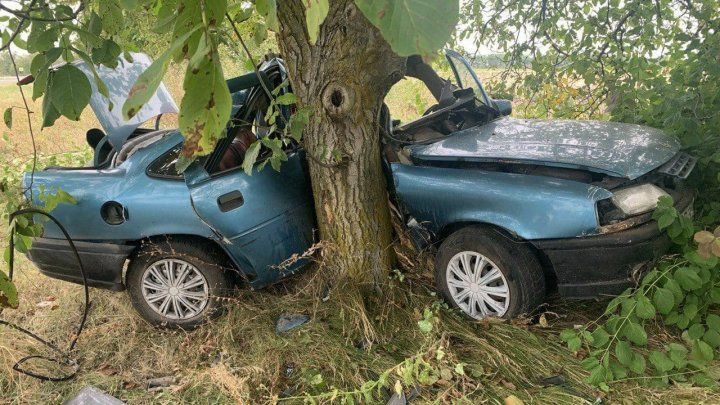 ДТП у села Ферапонтьевка: водитель легкового автомобиля погиб на месте