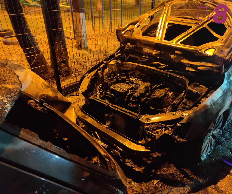 На Рышкановке минувшей ночью горели два автомобиля