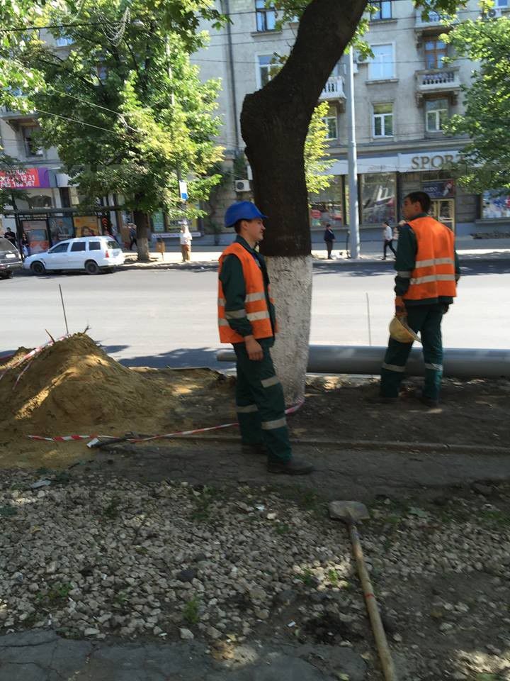 Незаконную вырубку деревьев на бульваре Штефана чел Маре удалось остановить