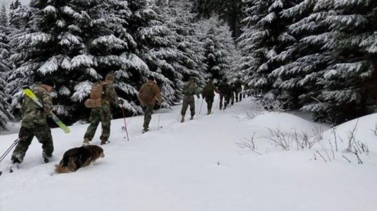 Военнослужащие Молдовы и Румынии провели совместные учения