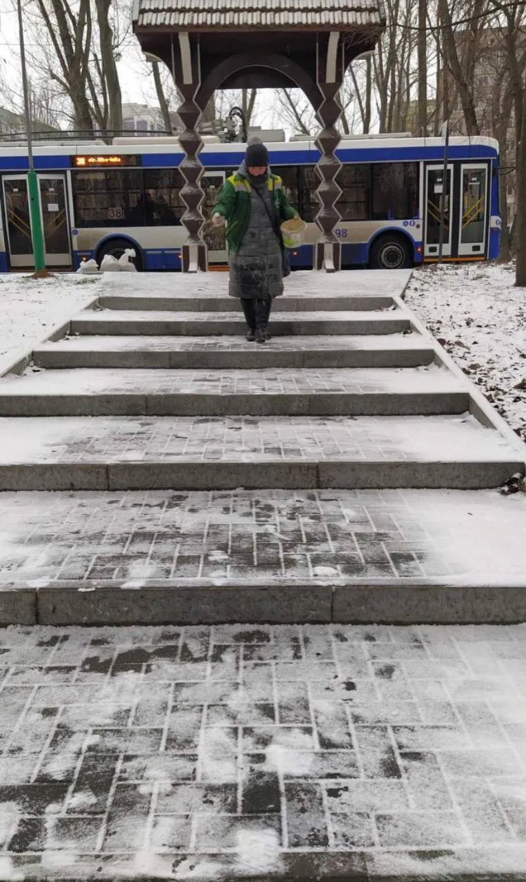 Муниципальные службы принимают меры по очистке улиц Кишинева