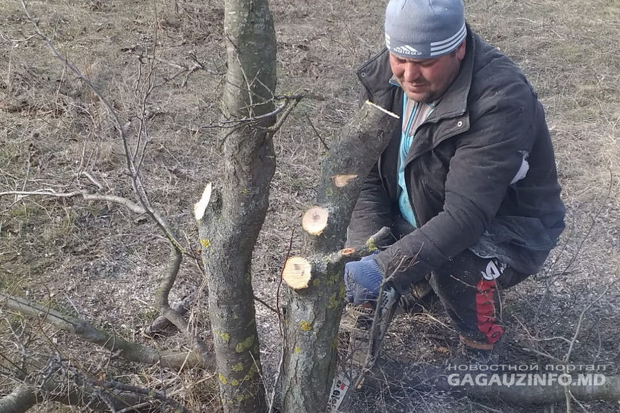 В Казаклии пенсионерам выдают дрова по льготным ценам