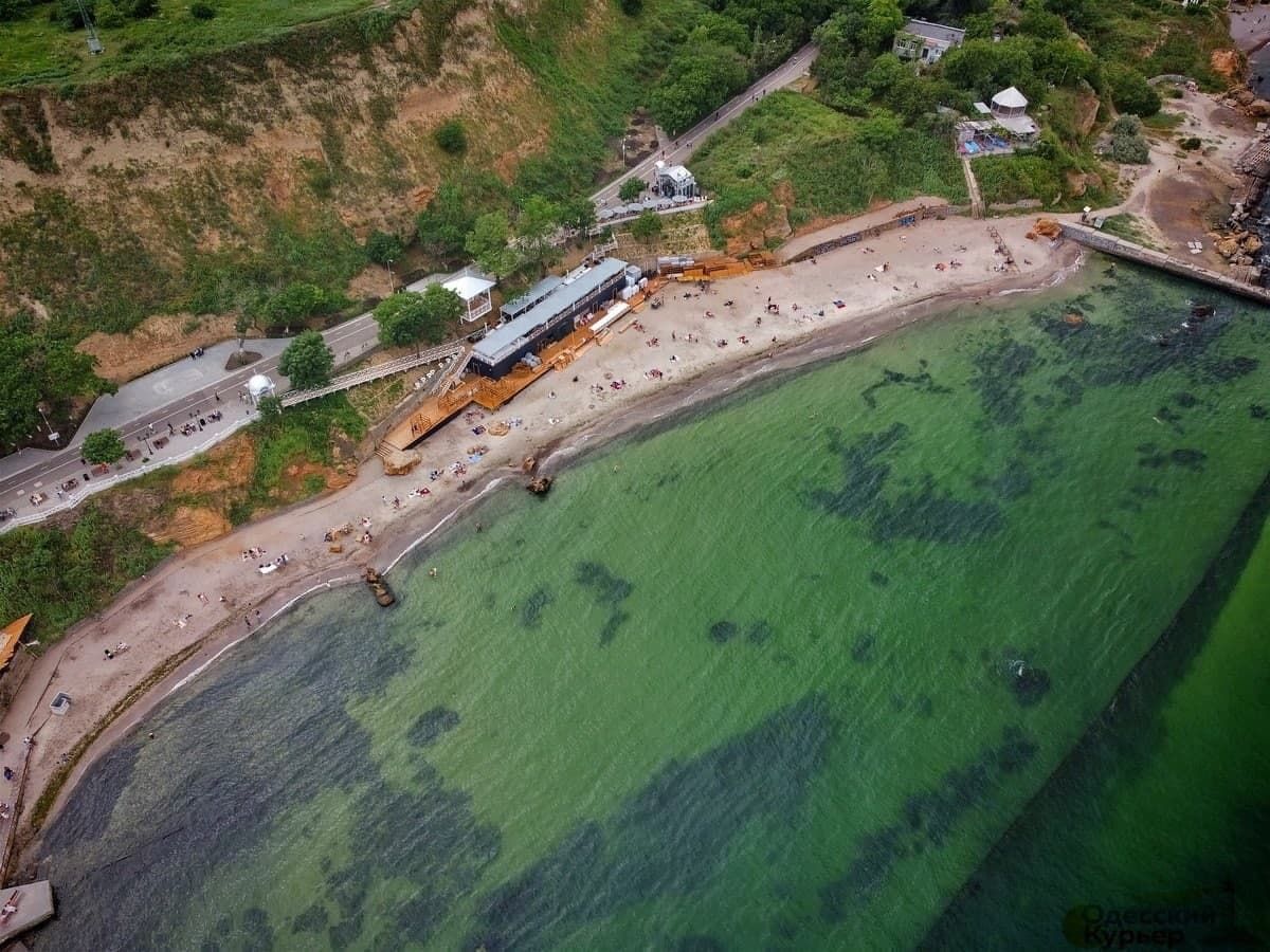 В Одессе "зацвело" море из-за мусора