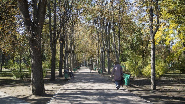 O altă faţă a Chişinăului. Grădina publică Ştefan cel Mare şi parcul Catedralei, curăţate de gherete