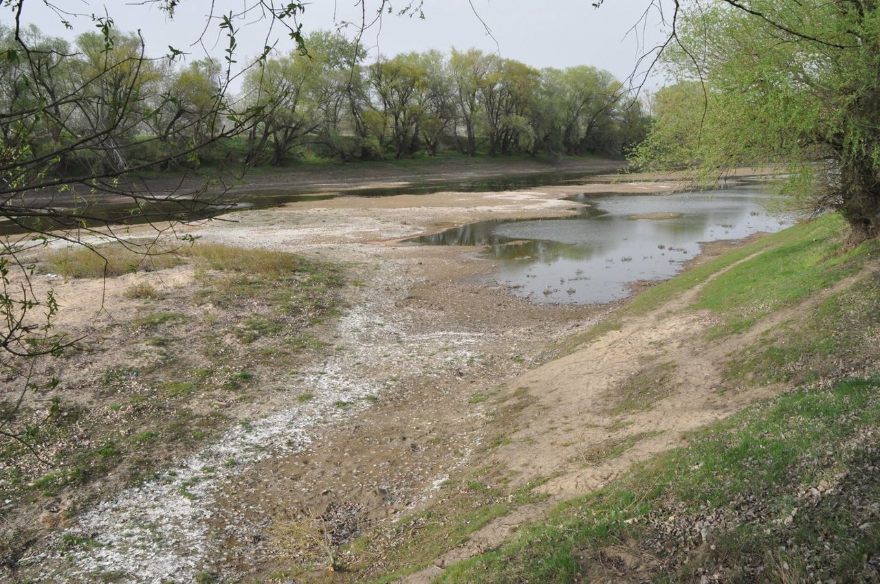 Гидрометеорологическая служба Молдавии призвала жителей экономить воду из-за обмеления рек