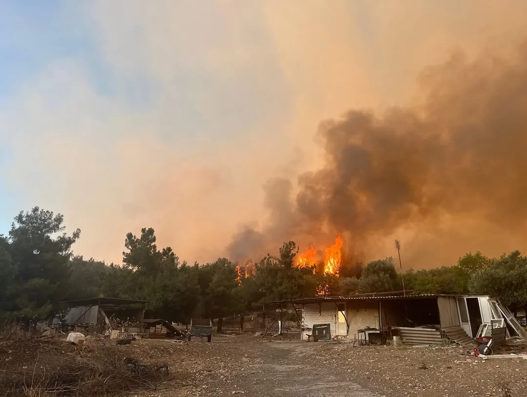 Incendiul de pădure din Izmir nu poate fi localizat deja de două zile