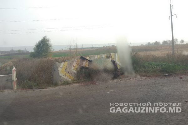 В Гагаузии корова стала причиной столкновения двух автомобилей