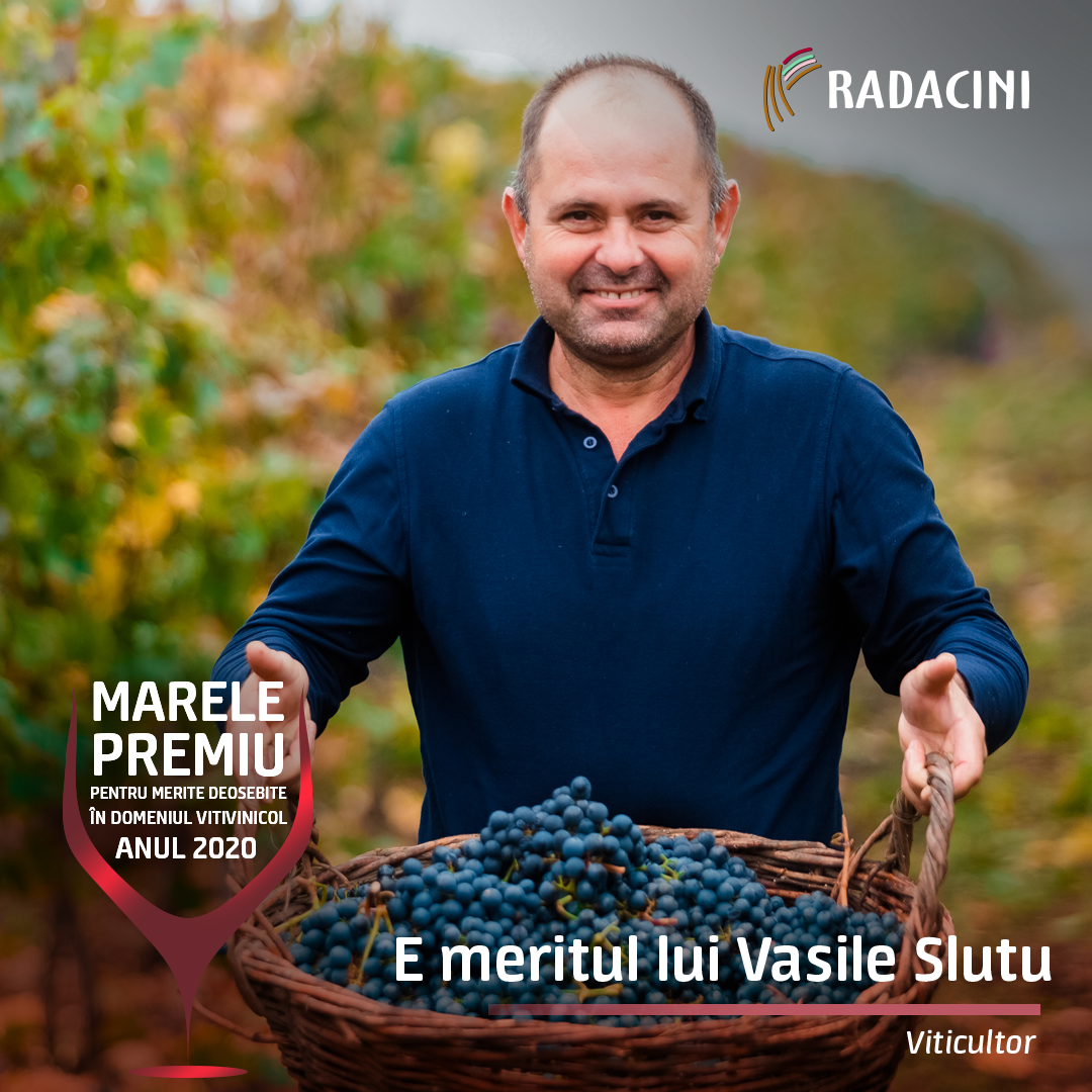 Radacini Wine: Команда лучшей винодельни Молдовы об уроках стойкости и единства