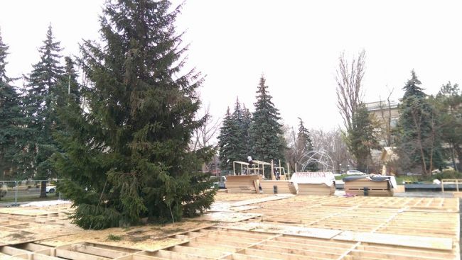 Еще одна рождественская ель появилась в Кишиневе