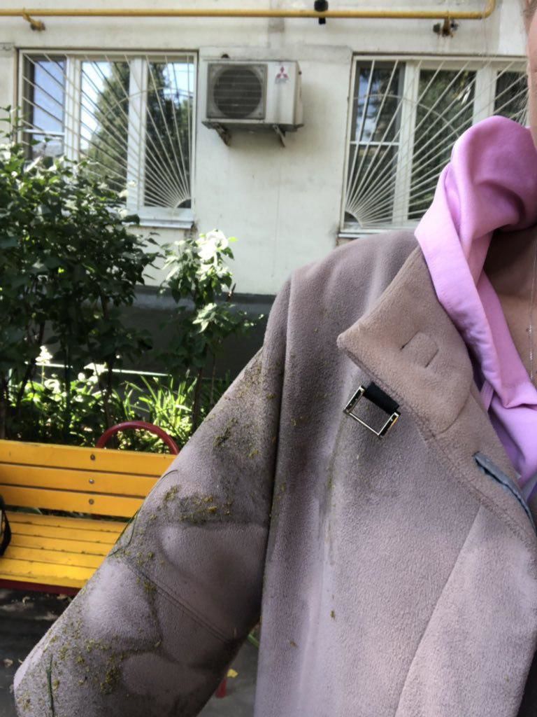 В Москве напали на Любовь Соболь