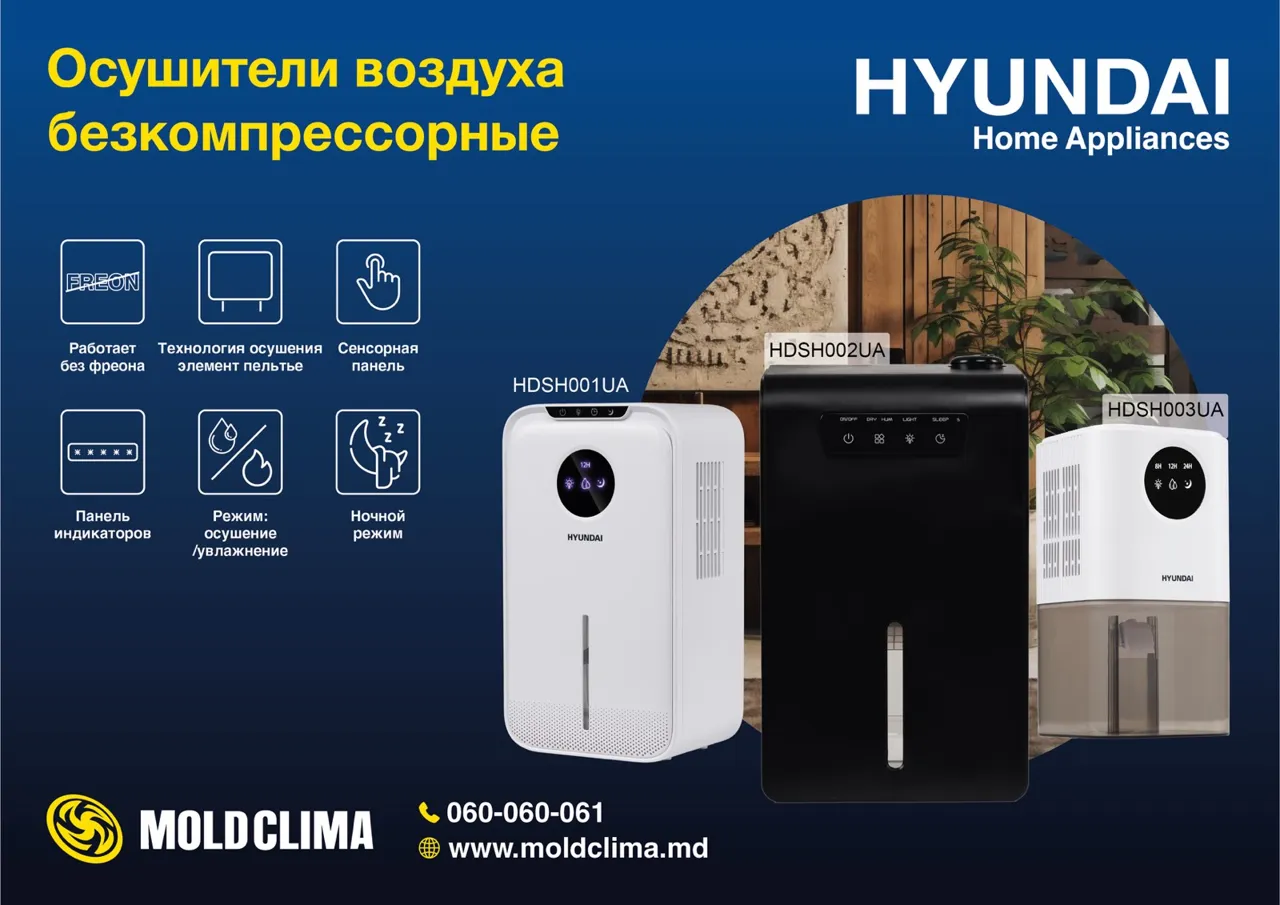 Здоровый воздух дома: как сезонные решения от Hyundai помогут пережить зиму
