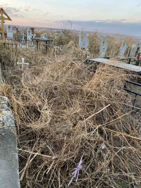 Уроженка Чадыр-Лунги обнаружила могилу родных, заваленную мусором