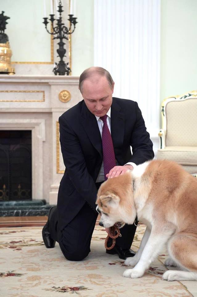 Путин показал журналистам подаренную ему в Японии собаку Юмэ