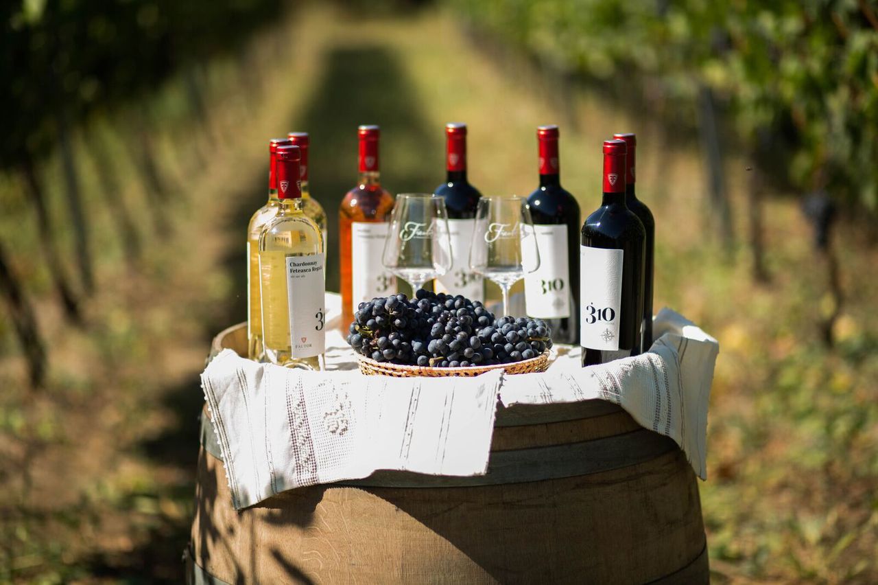 Fautor Winery” запускает новую серию вин — 310 Altitudine ®
