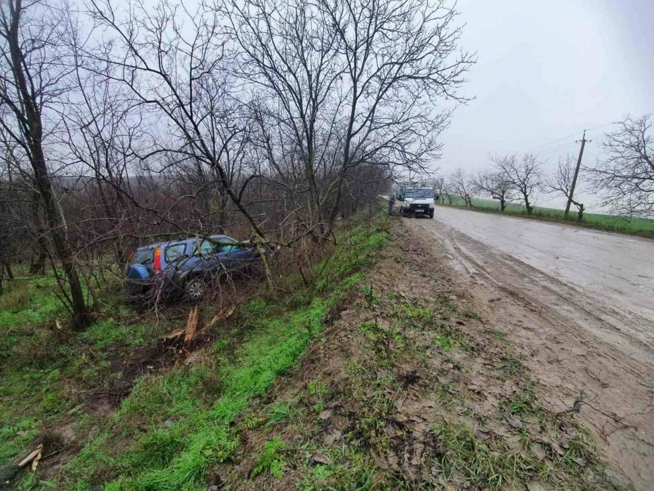 Водитель автомобиля не справился с управлением и врезался в дерево