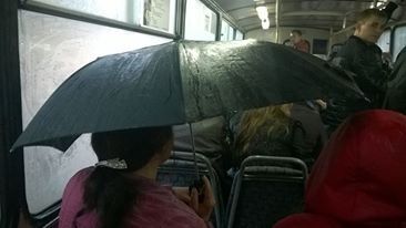 Cu umbrela deschisa in troleibuz. Cum a fost surprinsa o femeie in timp ce calatorea in transportul public