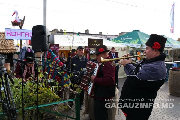 В Комрате начались массовые гуляния на праздновании Дня вина
