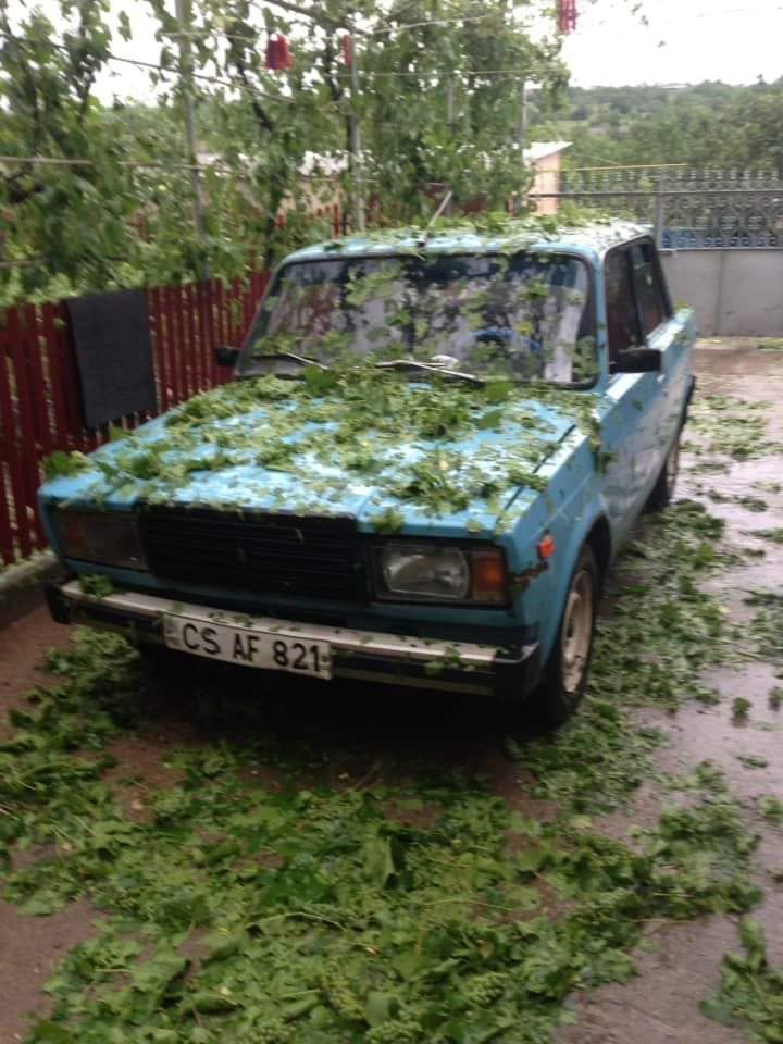 В Каушанском районе хозяйства терпят убытки из-за ливня с градом