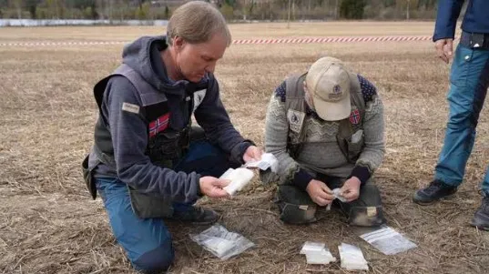 В Норвегии случайно нашли рекордную коллекцию монет эпохи викингов