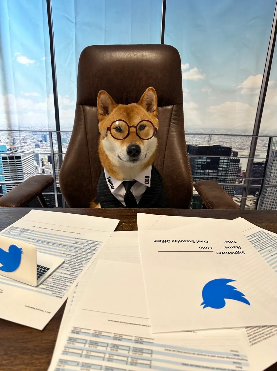 Маск «назначил» на пост нового гендиректора Twitter свою собаку