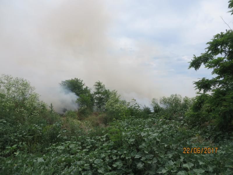 Gunoiștea dintr-un sat din Drochia a luat foc. Primarul a fost sancționat