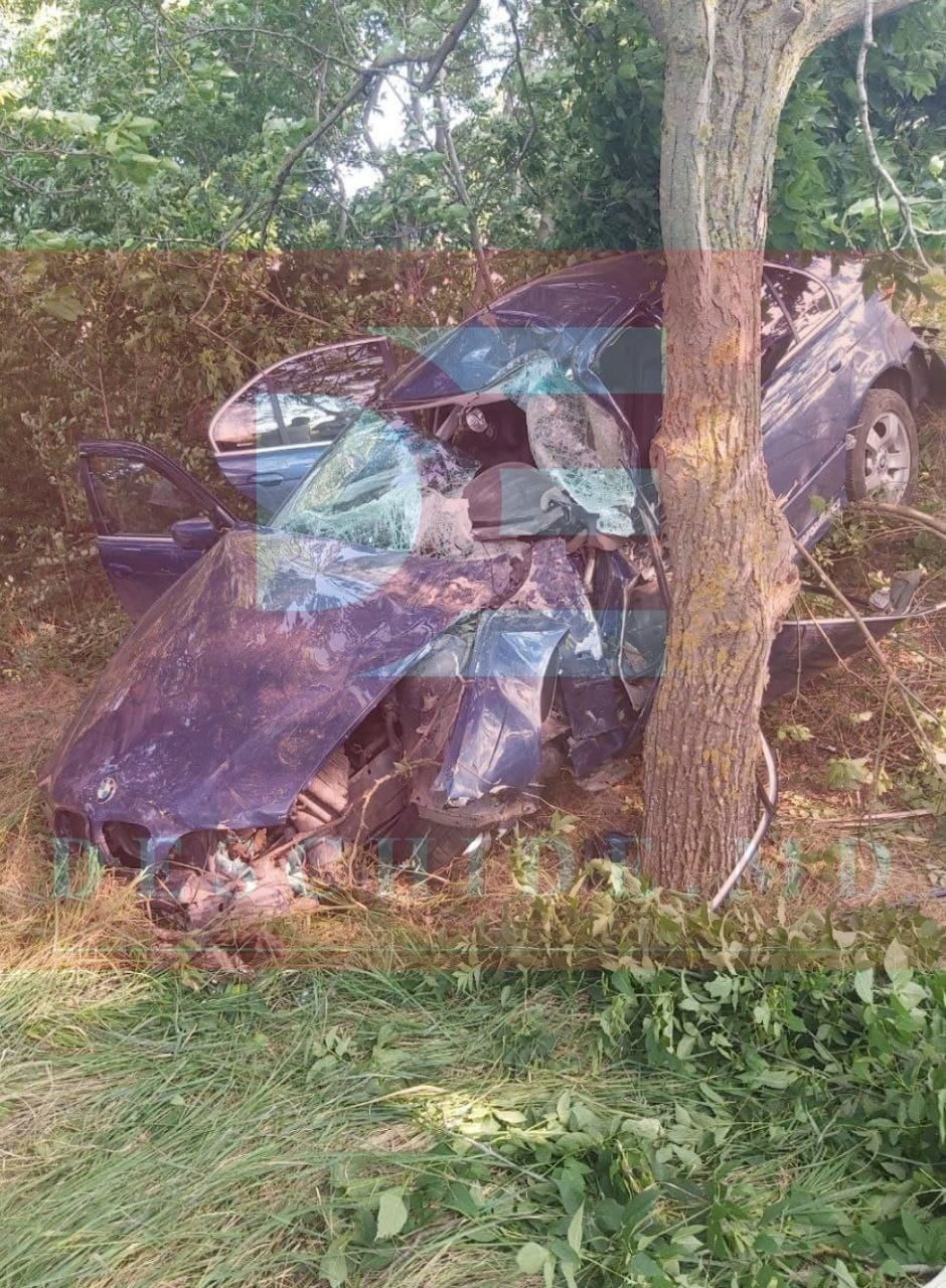 В Кагульском районе водитель BMW не справился с управлением и врезался в дерево
