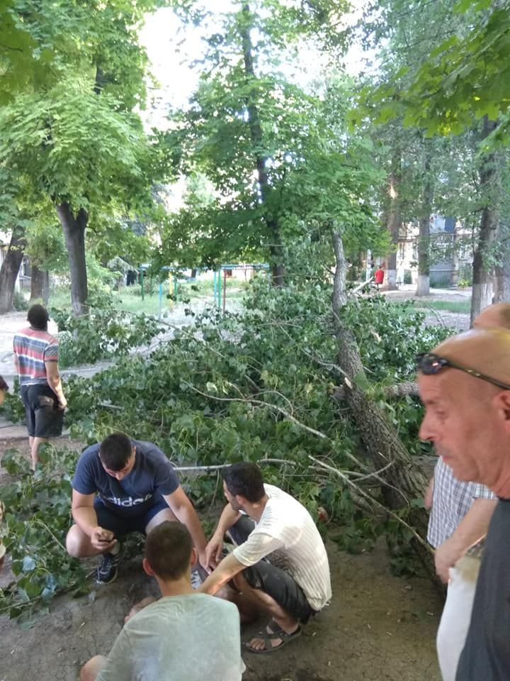 На Рышкановке дерево упало на мужчину