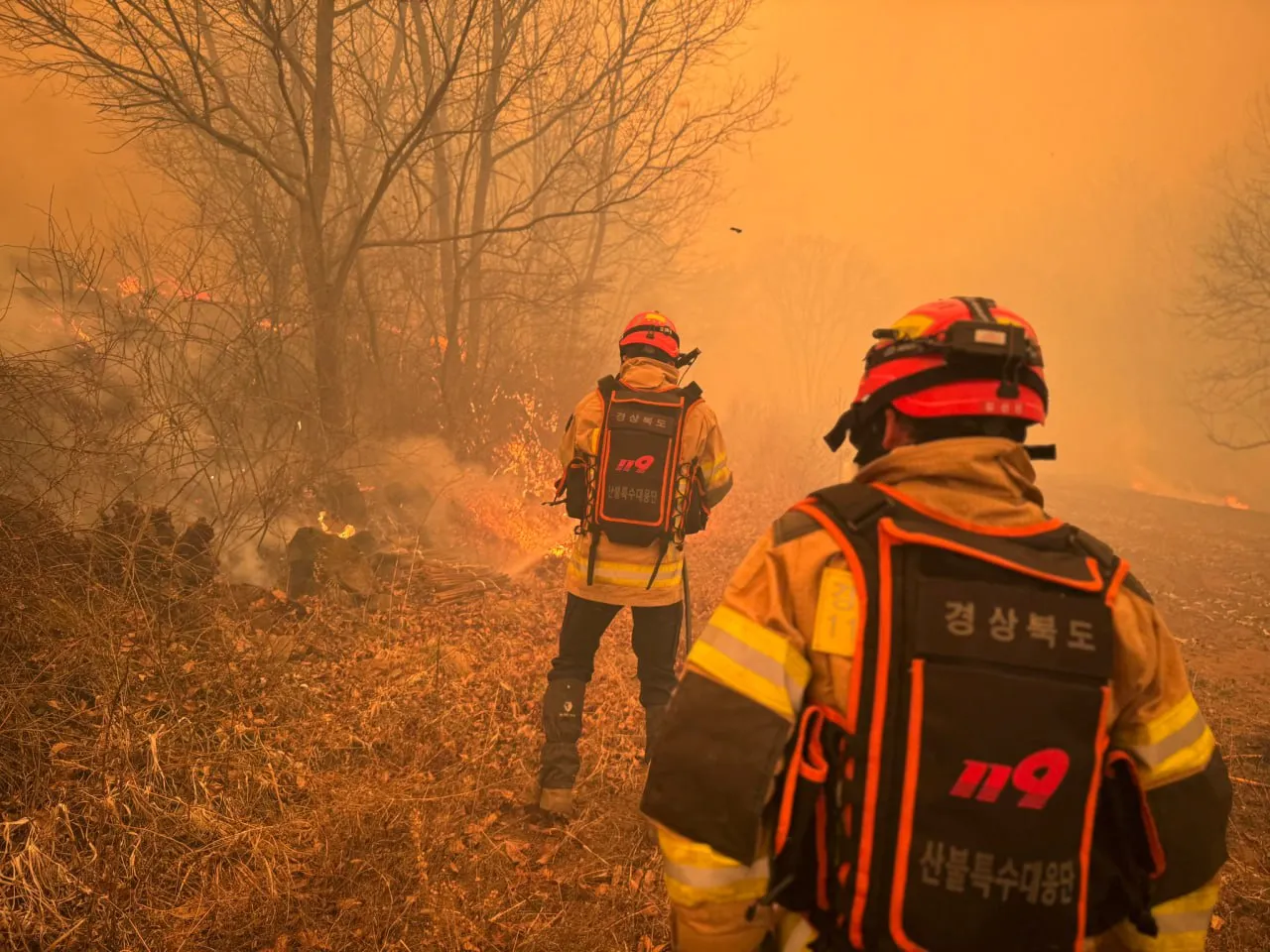Peste 20 de incendii de vegetație mistuie Coreea de Sud: Există morți și persoane dispărute