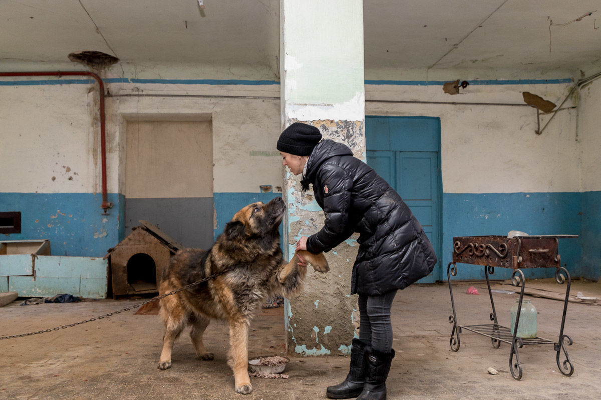 В Приднестровье предлагают создать закон о защите животных