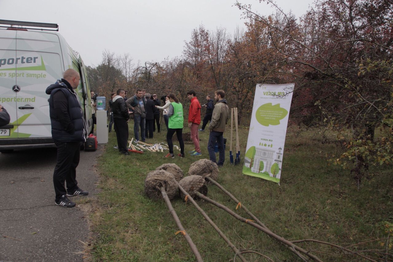 Verde.md проводит в столице первую посадку деревьев