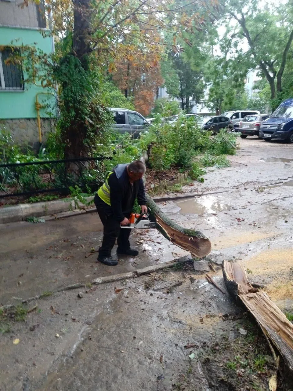 Ploi puternice în Chișinău: Crengi rupte și mai multe străzi, inundate