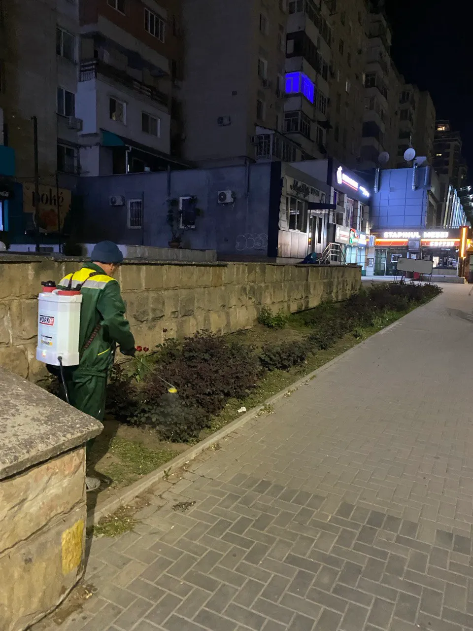 В Кишиневе началась обработка зеленых насаждений от клещей