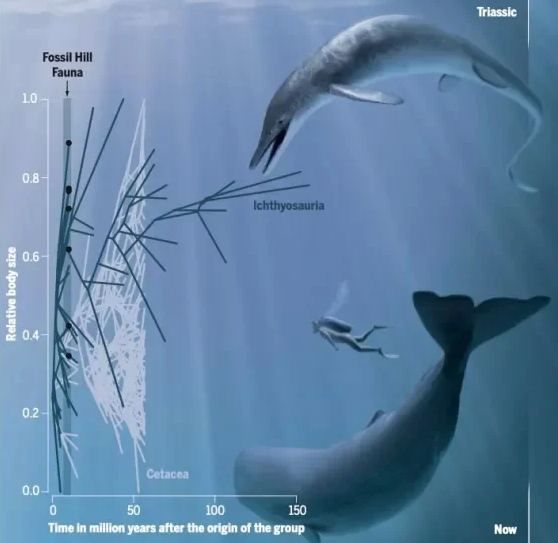 В Неваде нашли останки гигантского «морского дракона»