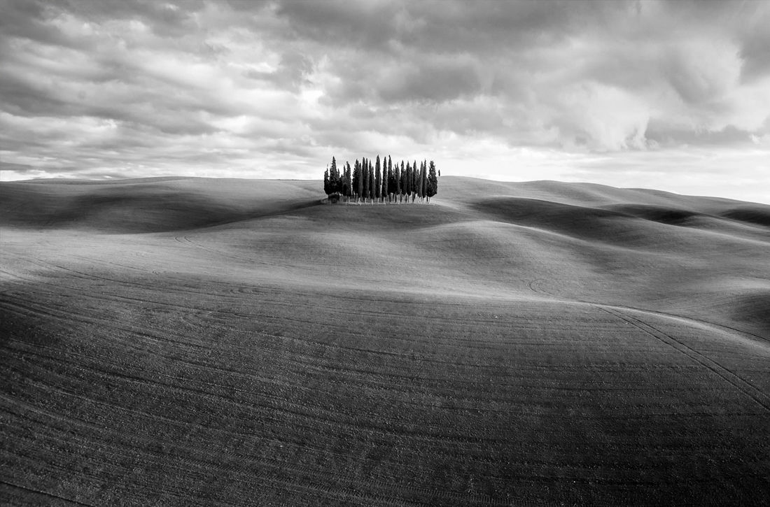 World Nature Photography Awards объявил победителей за 2021 год