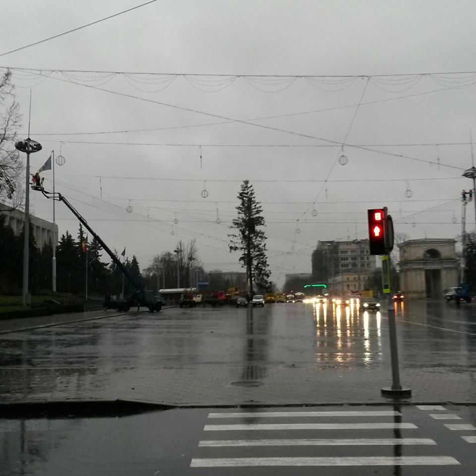 UPDATE: Cum arată bradul ajuns în PMAN. Glume și reacția Silviei Radu